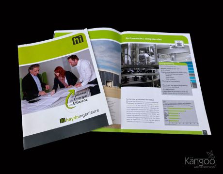 print haydeingeneure ps